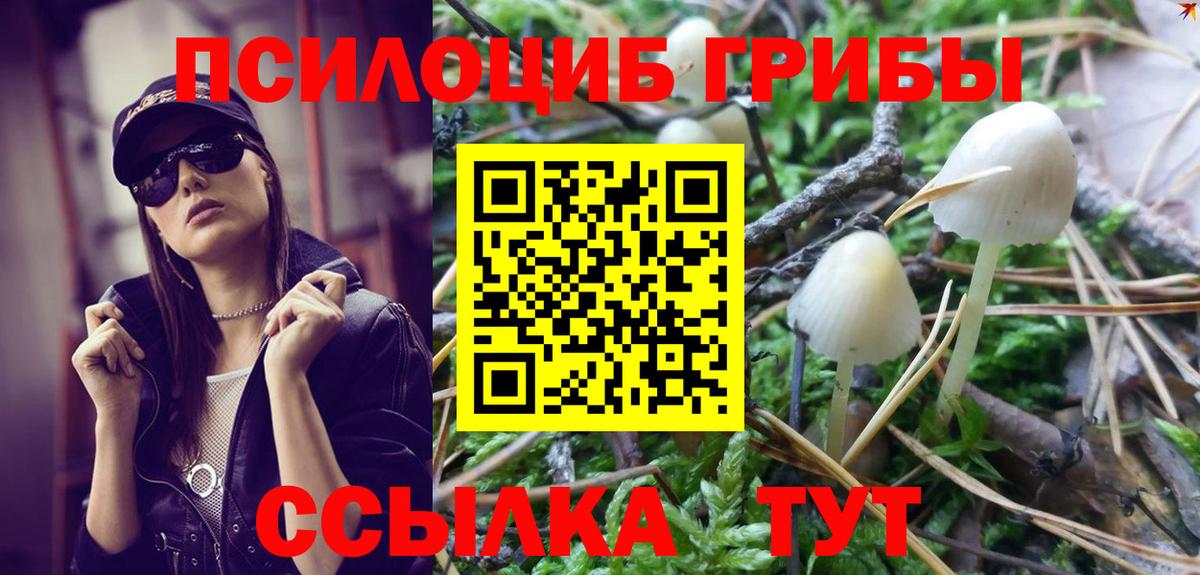 Галлюциногенные грибы ЛСД Сергиев Посад