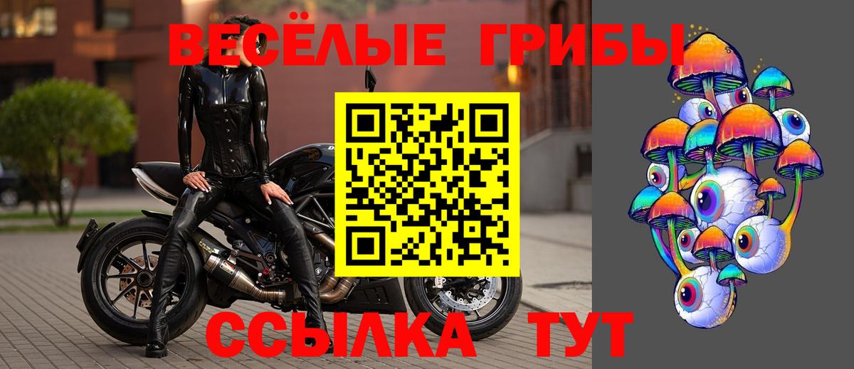 Сергиев Посад  хочу   Вход с VPN  Галлюциногенные грибы ЛСД 